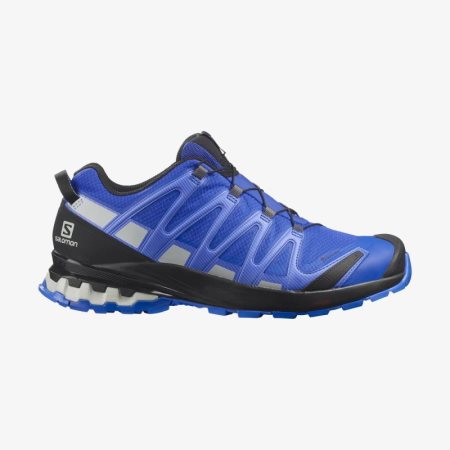 Salomon XA PRO 3D v8 GORE-TEX Mens Hiking Shoes Blue UK NQYF